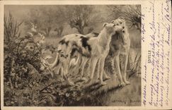 CPA Chien Chiens Levrier Levriers 