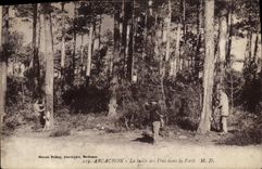 CPA Chasse Arcachon La taille des pins dans la foret 
