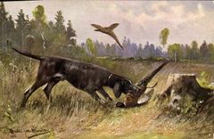 CPA Chasse Chien Perdrix 