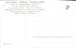 CPA Chasse Chien Perdrix 