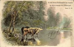 CPA Fantaisie Illustrateur Vaches 