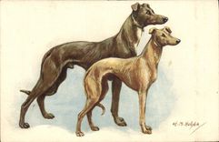 CPA Chien Chiens 