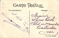 CPA Chien Chiens Femme 