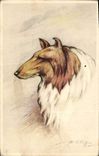 CPA Chien Chiens 