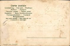 Vintage Postcard Fantasy Flowers Eggs