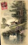Postal Fantasia Ilustrador Cisnes Paisaje