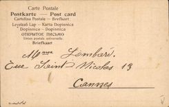 CPA Fantaisie Illustrateur Femme Oiseau 