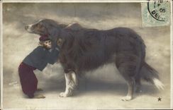 CPA Chiens Chien 