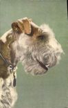 CPA Chiens Chien 