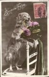 CPA Chiens Chien 