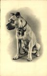 CPA Chiens Chien 