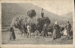 CPA Folklore Fenaison (carte toilée) 