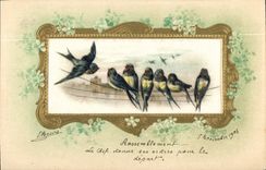 Vintage Postcard Fantasy Birds (toilée chart)