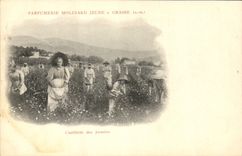 Vintage Postcard Cueillette of the jasmines Parfumerie Molinard Jeune has Grasse