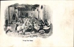 Vintage Postcard Gathering Sorting of the pinks