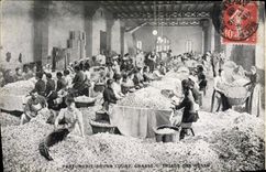 Vintage Postcard Gathering Fatty Perfumery Bruno Court Sorting of the pinks