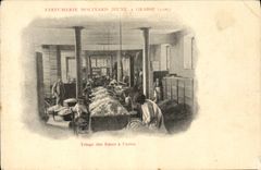 Vintage Postcard Cueillette Sorting of the pinks has the factory Parfumerie Molinard Jeune has Grasse