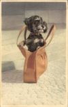 Vintage Postcard Chien Dogs Bag has hand