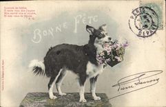 CPA Chien Chiens 