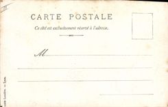 CARTE PHOTO Chien Chiens 