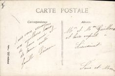 Vintage Postcard Dog Dogs Woman Happy new year