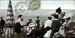 CPA Chien Chiens Femme Coin de plage 