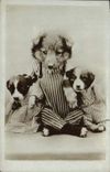 CPA Chien Chiens 
