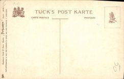 Vintage Postcard Dog Dogs The sleeping beauty