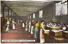 Vintage Postcard Gathering Fatty Perfumery Bruno Court Enfleurage of the jasmine