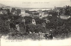 Vintage Postcard Cueillette of flowers of orange tree Dimensions Azure