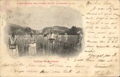 Vintage Postcard Cueillette of the Tuberoses Parfurmerie Molinard Jeune has Grasse