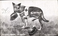Vintage Postcard Dog Dogs the medical dog and patriotic Militaria Red Cross