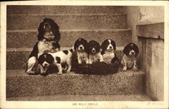 CPA Chien Chiens Une belle famille 