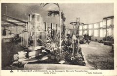 Vintage Postcard Boat Normandy Steamer of the General Company Transatlantic Wintergarden