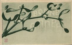 Vintage Postcard Fantasy Flowers (silk chart)