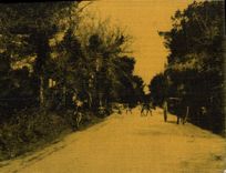 Vintage Postcard Cows (silk chart)