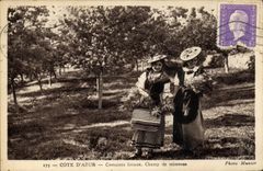 Vintage Postcard Cueillette Dimensions Azure local Costumes Champ of mimosas