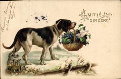 CPA Fantaisie Chien 