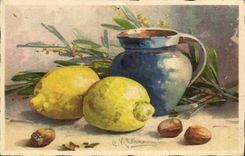 Vintage Postcard Fantasy Still life Illustrator