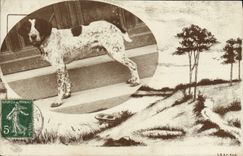 CPA Chien Chiens 