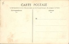 Vintage Postcard Dog Dogs a large smoker Pipe Tobacco