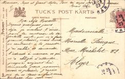 Vintage Postcard Dog Dogs One the club