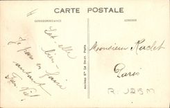 Vintage Postcard Dog Dogs Pretty Woman bather