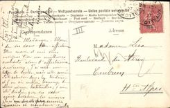 Vintage Postcard Dog Dogs Child Poodle