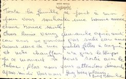 Modern Postcard Dog Dogs