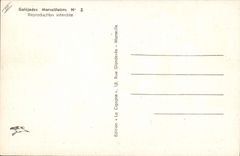 Postal Burlas mrseillaises Fonógrafo De radio