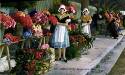 Vintage Postcard Cueillette Dimensions Bouquetiere Azure