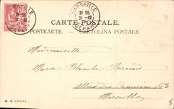 Vintage Postcard Fantasy Woman Dog Poodle