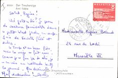 Modern Postcard Dog Dogs faithful Friend