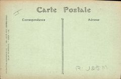 Vintage Postcard Dog Dogs With the Friendly sea bathings Woman